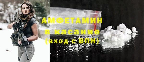 индика Вязьма