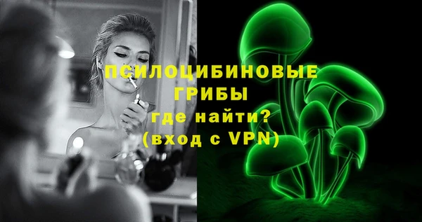 индика Вязьма