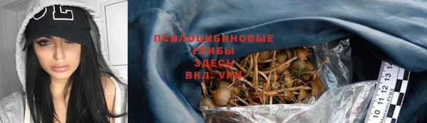 сатива Волосово