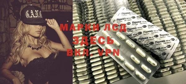 индика Вязьма