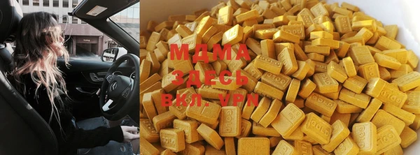 индика Вязьма